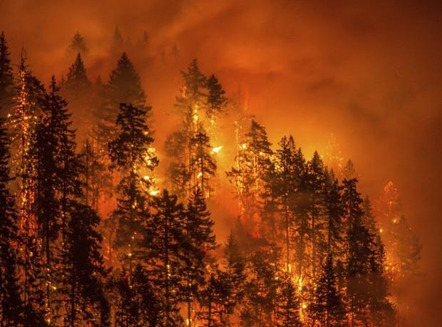 The Eagle Creek Fire
(Copyright The Oregonian, reprinted with permission)