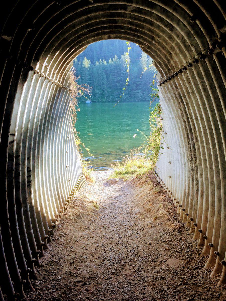 An entrance to a lake in Tulum, Mexico. This summer-y scene reflects the theme of the playlist.  Photo by Macy Potter.