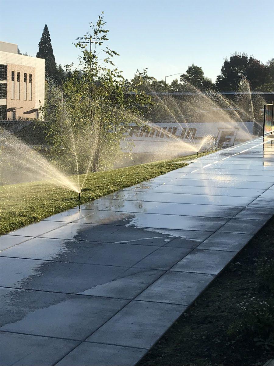 Sprinklers at Franklin High School soak the sidewalk. Students have expressed concern over their environmental effects.
Photo Credit: Sadie Tresnit

