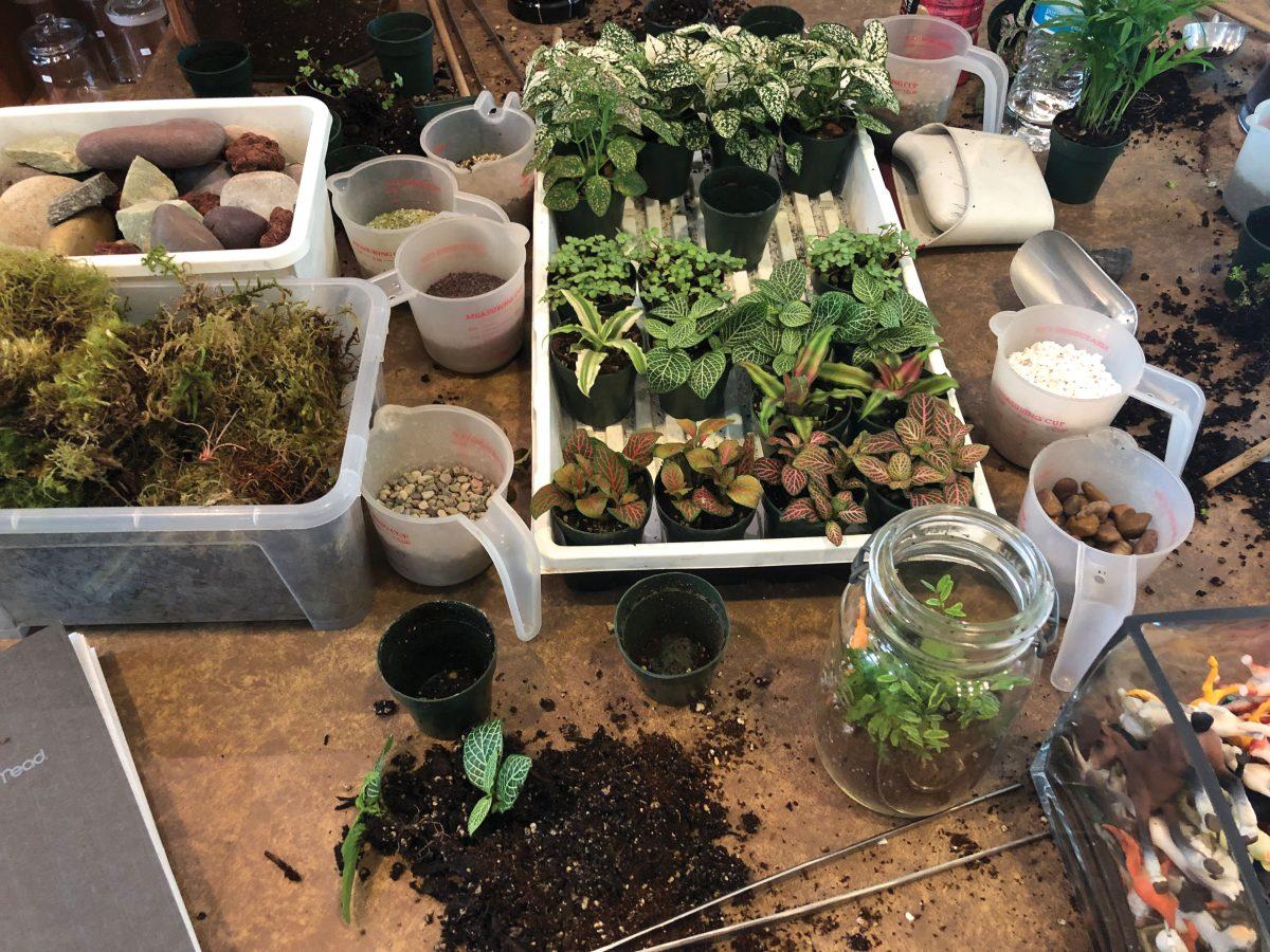 PC: Delaney Griffin.
The array of different plants, rocks, and trinkets available in each class at Roosevelt’s Terrariums. Every class participant can customize their terrarium however they want with the provided supplies.

