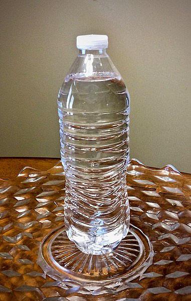 The Plastic Water Bottle