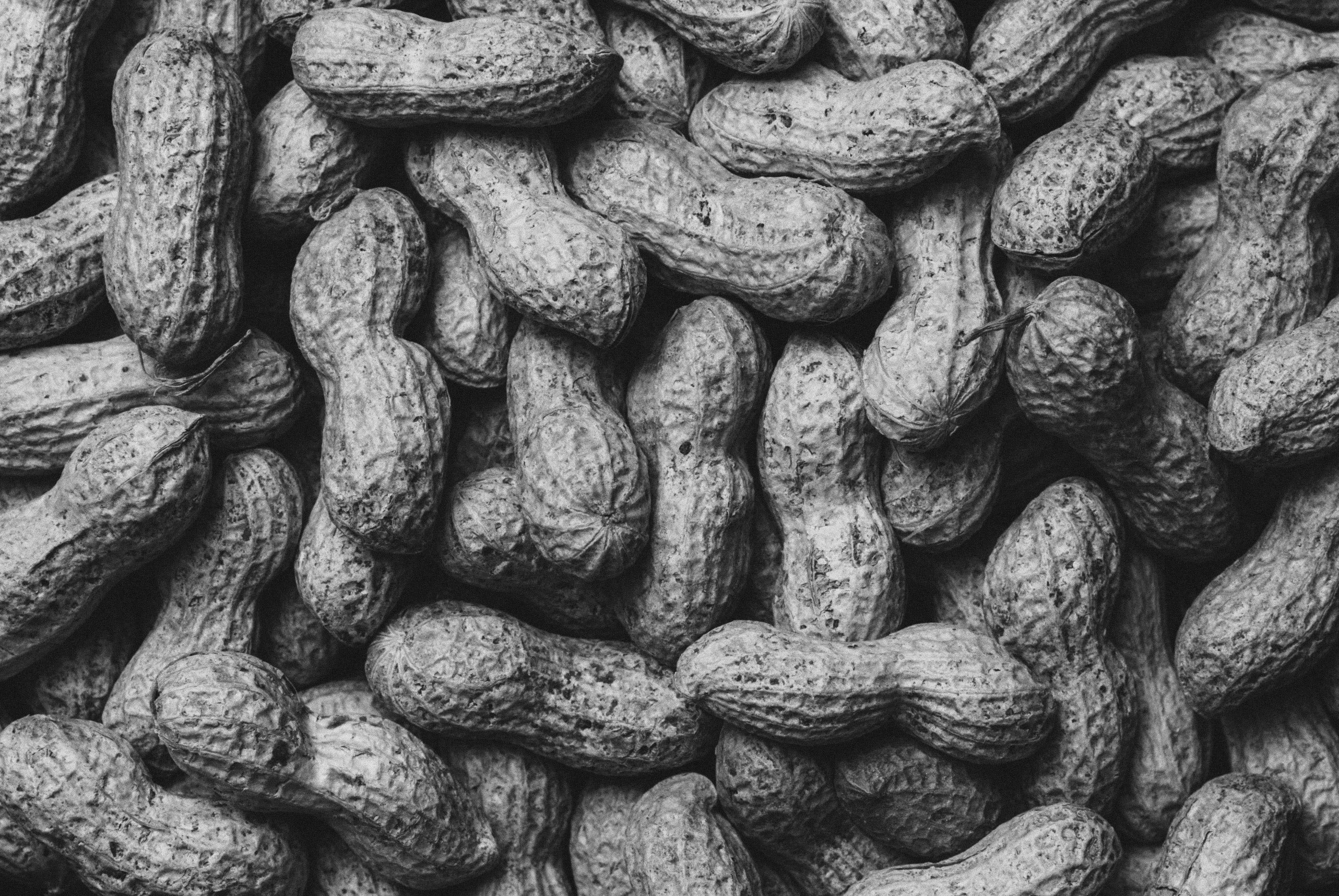 peanut-allergies-the-franklin-post