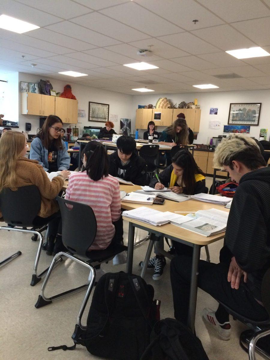 Students in an AP Environmental Science class at Franklin. AP classes tend to enroll a disproportionate number of white students.