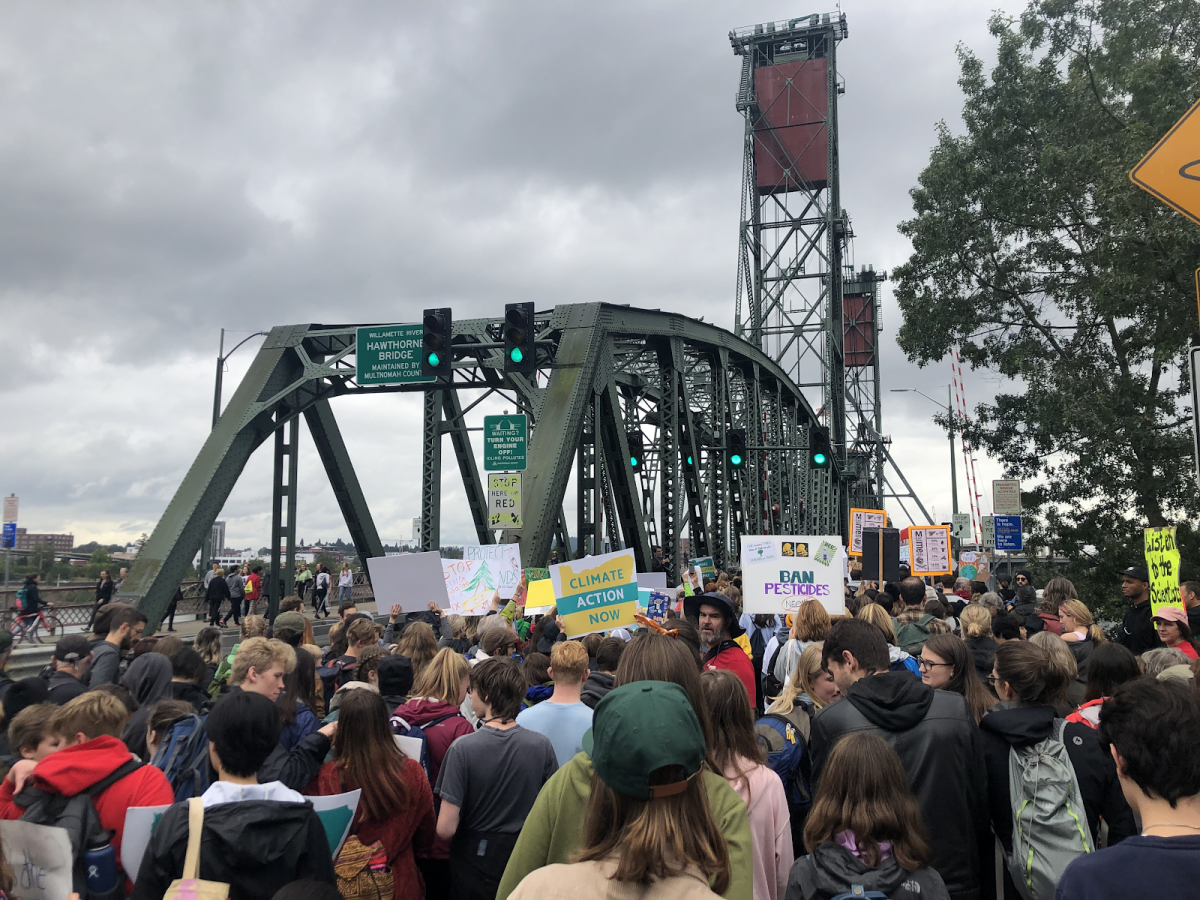 Behind the Scenes of the September 20th Climate Strike