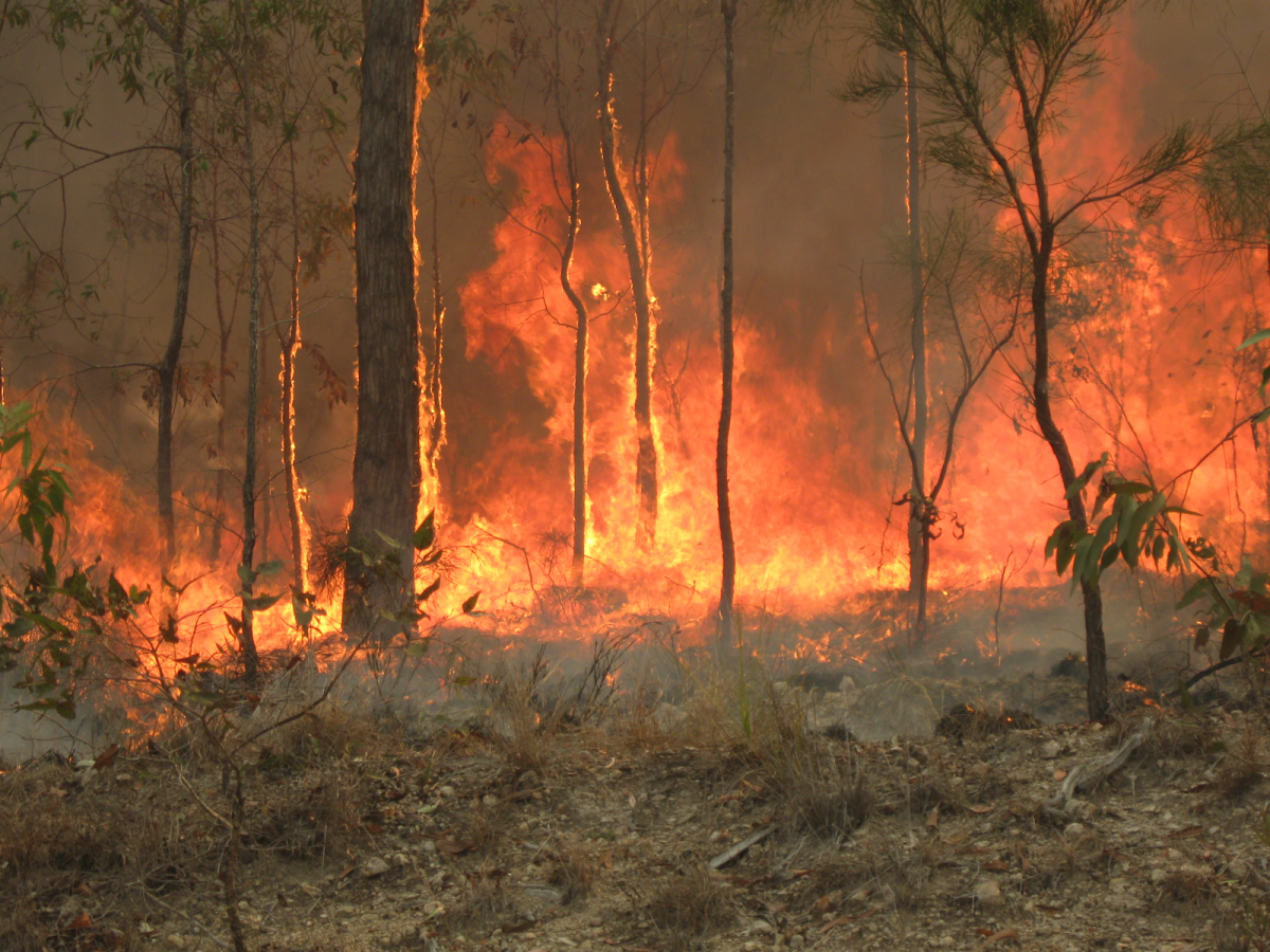 Australian Bushfires Create Hazardous Playing Conditions at the Australian Open