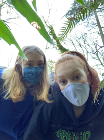 Hiking the Wildwood Trail: How to Sound Impressive Without Actually Hiking 30 Miles