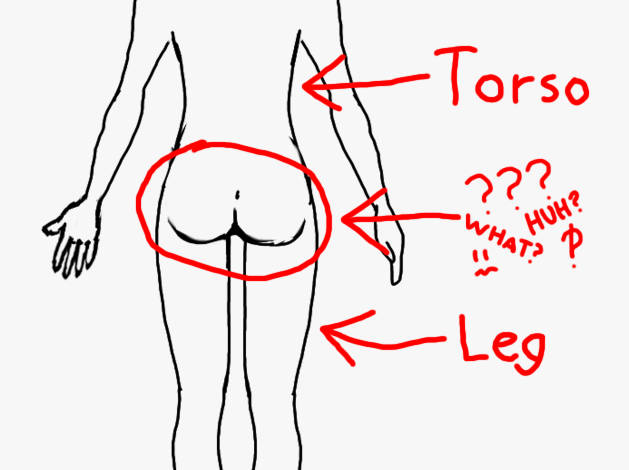 Is the Butt Part of the Leg or the Torso? The Debate of our Time