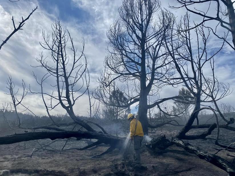 How Multnomah County is Preparing for Another Threatening Wildfire Season