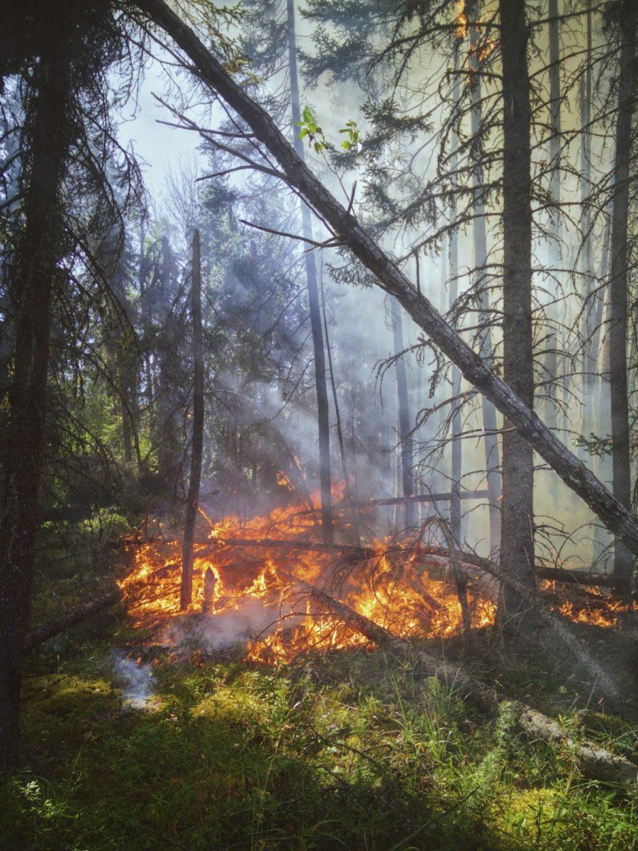 2022: Oregon Experiences Slight Relief From Wildfires