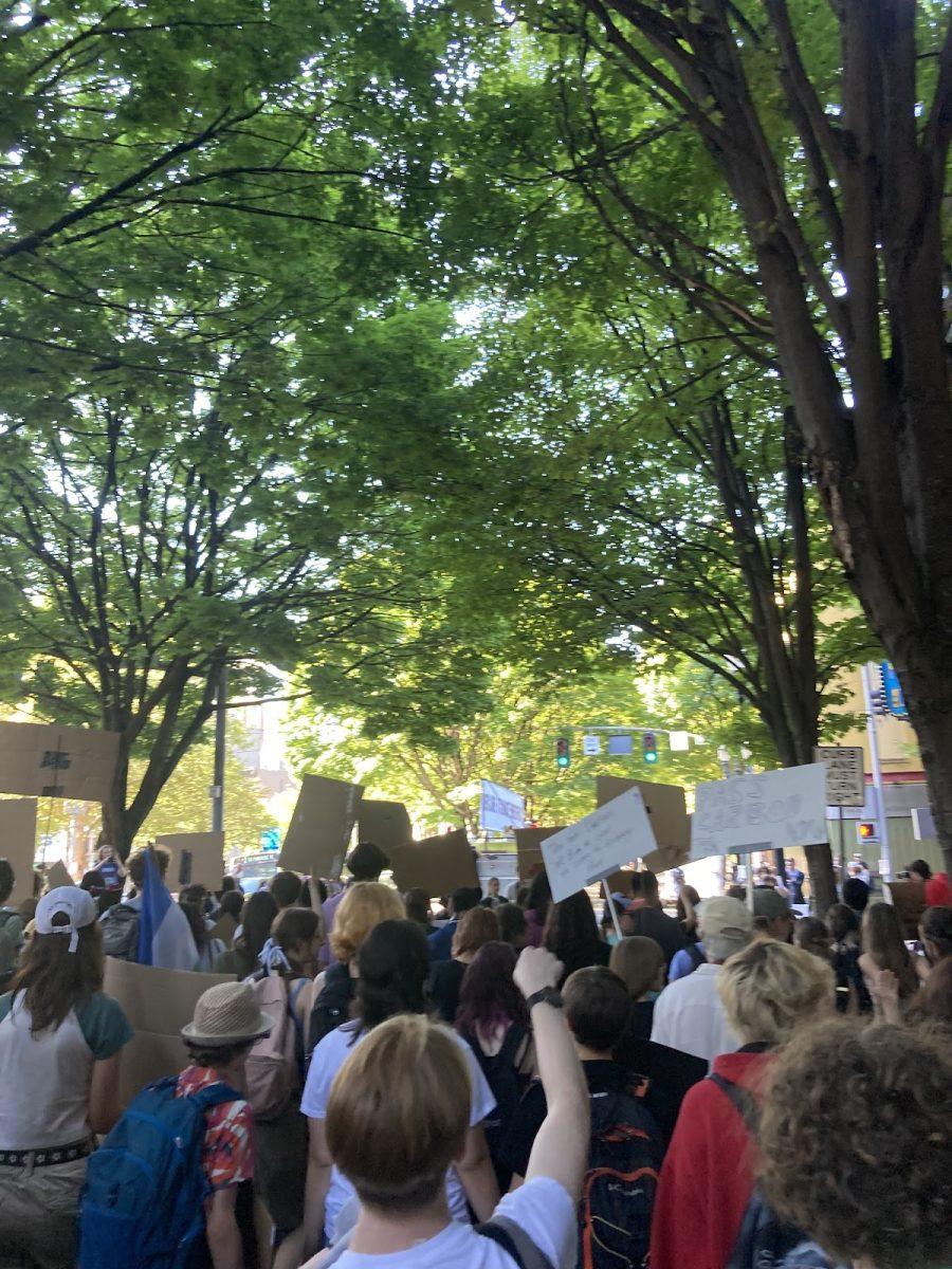 An Annual Youth-Led Climate Strike 