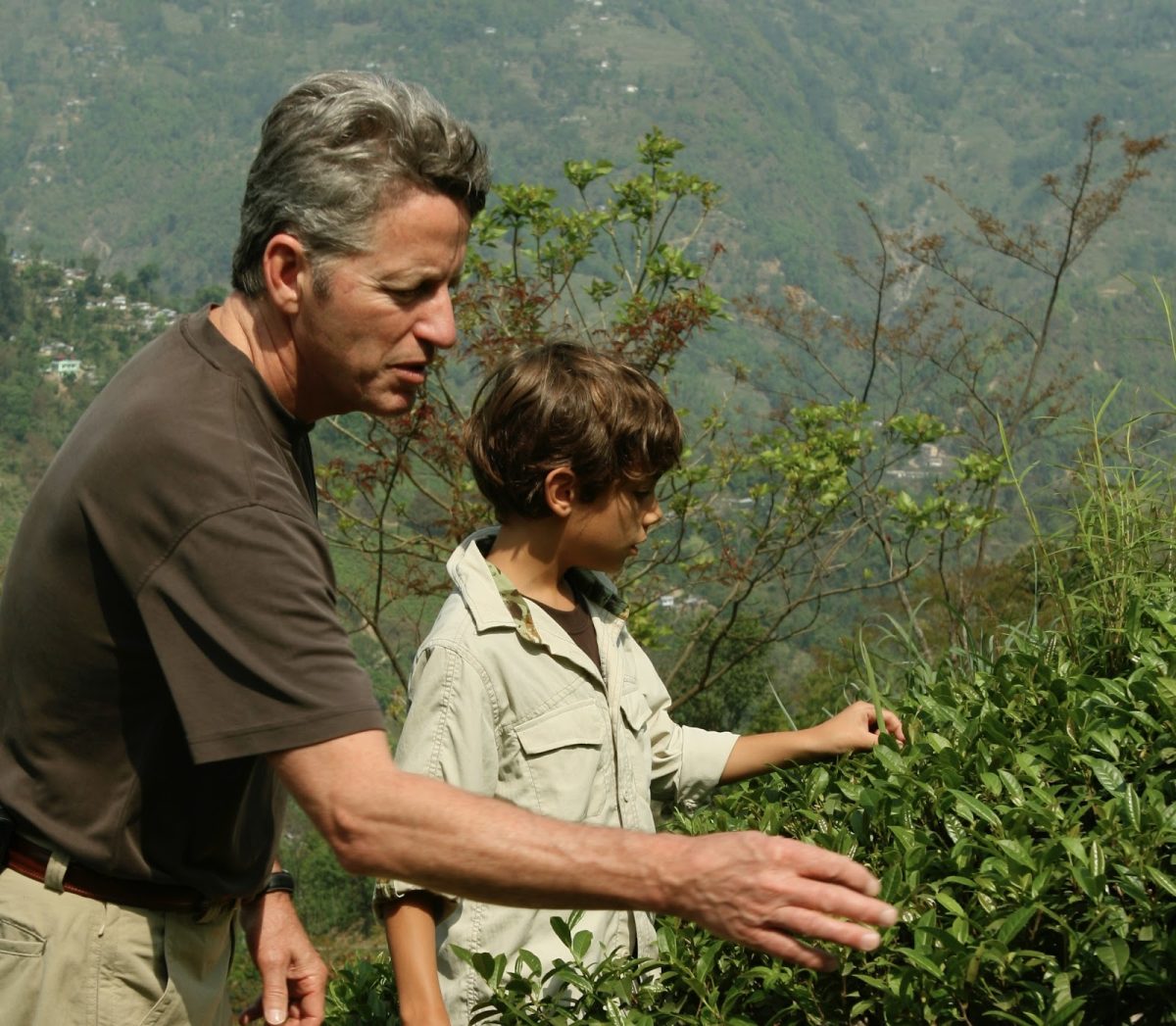 Steven “Steve” Smith and his son, Jack, harvesting tea in India. Smith, a Franklin alumnus, had a massive impact on the global tea industry. Photo via Kim DeMent.