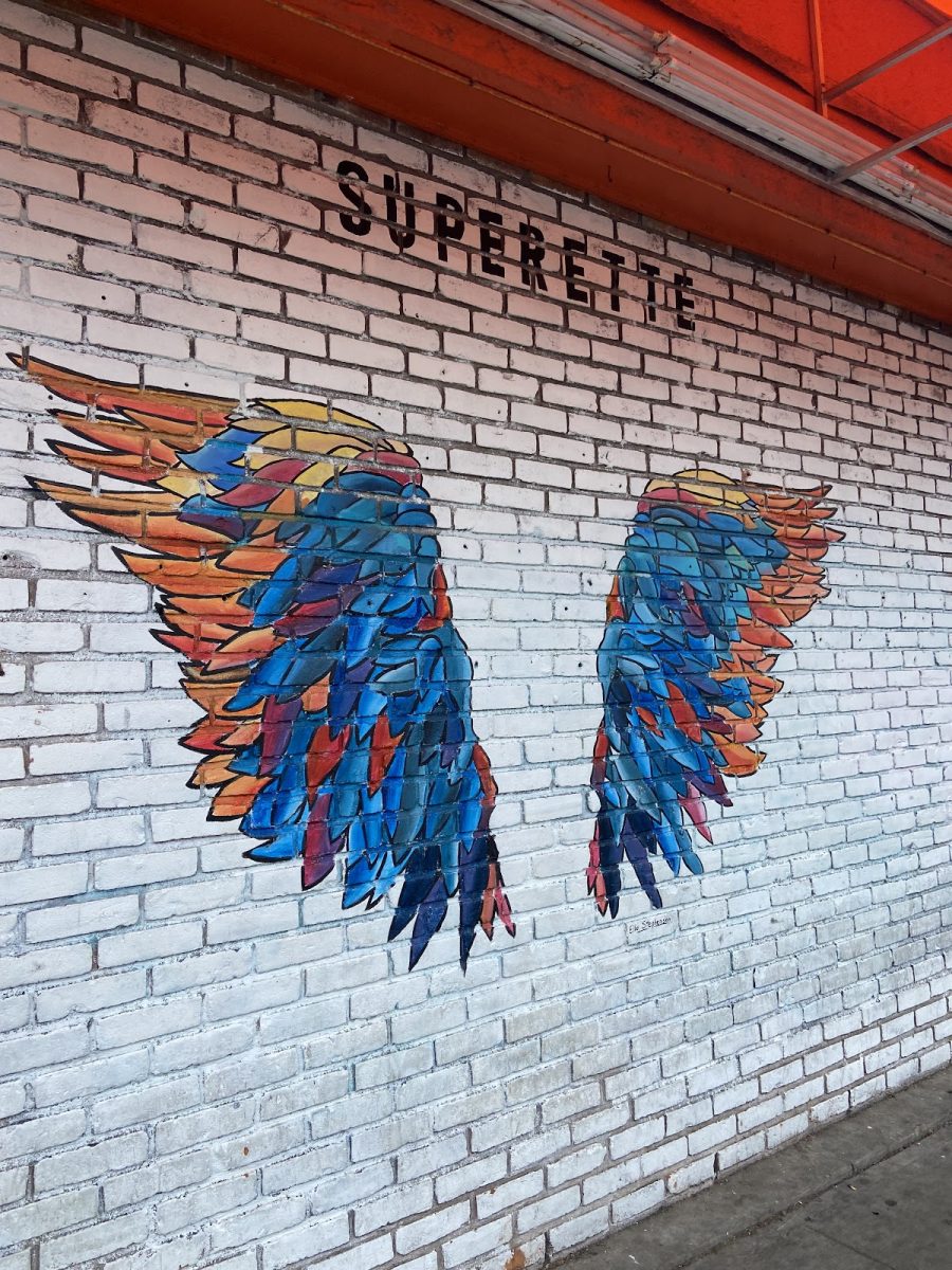 A pair of life-size wings belonging to a mural movement by artist Colette Miller. This mural is one of many in the Global Angel Wings Project that started in 2012, serving as a reminder of the importance of public art in the community. Photo by Luz Culbert-Nusser.