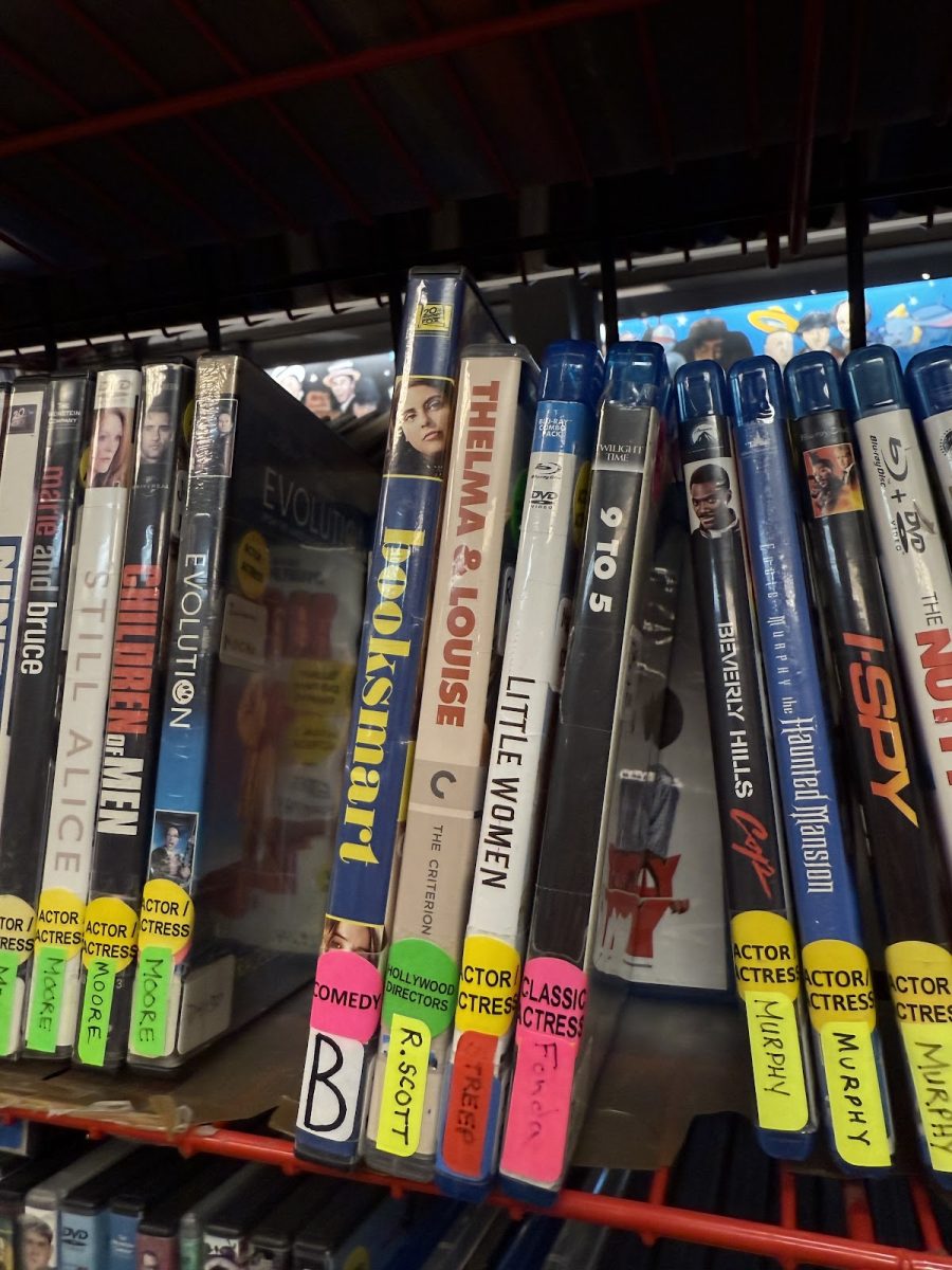 Some of the female-centered movies found on the shelves of the Movie Madness Video store. These films and many more help celebrate and recognize the vastness of the female experience.