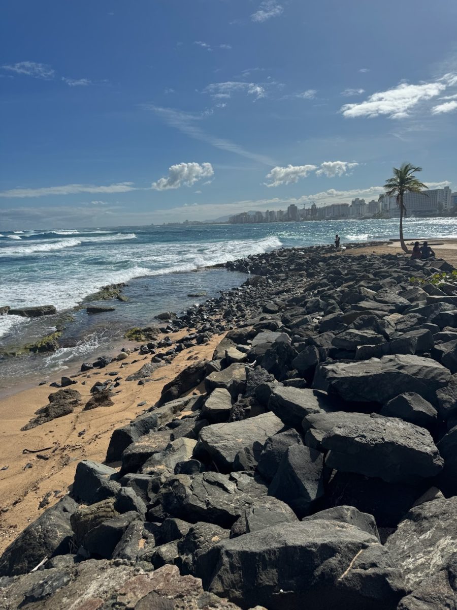 A beach in San Juan, Puerto Rico, with the city in the background. Damage to Puerto Rico’s electrical infrastructure has led to frequent blackouts that interrupt the everyday lives of residents, who are dissatisfied with how the managers of the electrical grid are addressing these issues. Photo by Alejandra Ortiz.