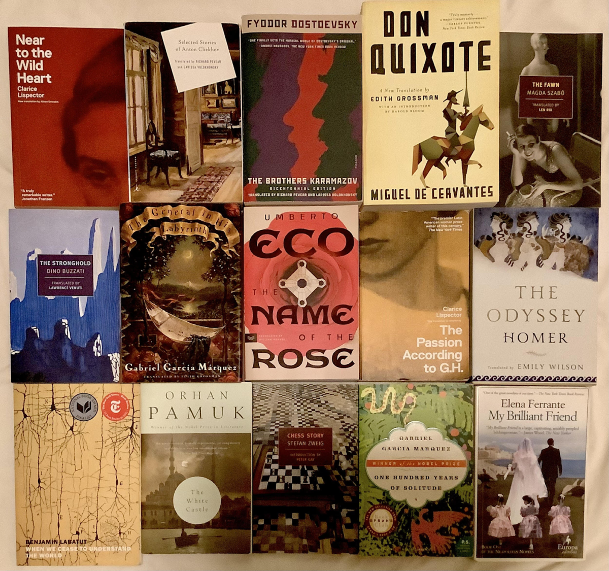 A collection of books, translated into English from Spanish, Italian, German, Hungarian, Turkish, Russian, and Ancient Greek. Translators do invaluable work, ensuring that books are accessed by new audiences. Photo by Charlotte Hanscom.