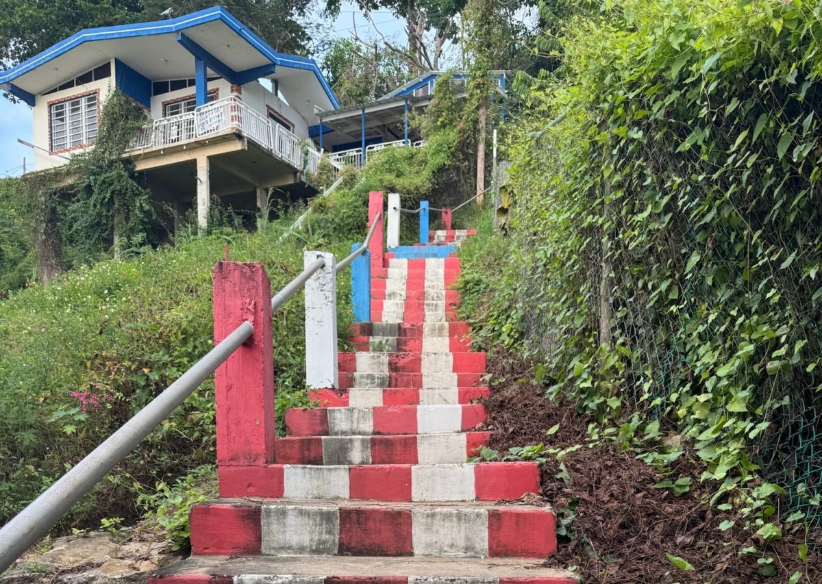 A community mural on a staircase in Aguadilla, Puerto Rico, that showcases the original Puerto Rican flag — a symbol of resistance to colonization — which has light blue instead of navy blue. This flag represents the importance of Puerto Rico’s culture and self-determination.
Photo by Kate DeWeese.
