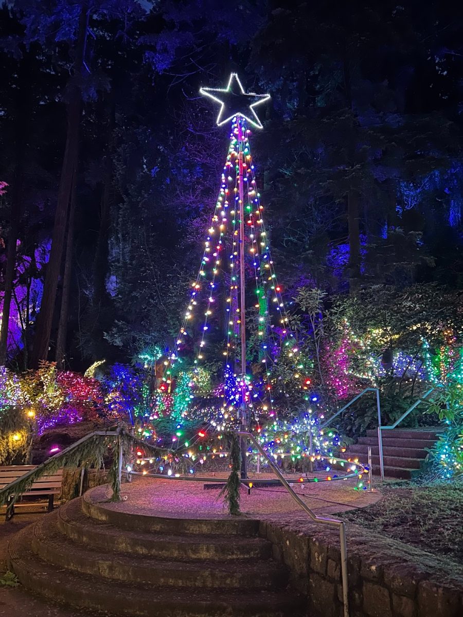 Photo caption: A Christmas tree light decoration at The Grotto Festival of Lights. The Grotto Festival of Lights is an annual event during the winter months, and it is located at The National Sanctuary of Our Sorrowful Mother. Photo by Eleanor Harper.