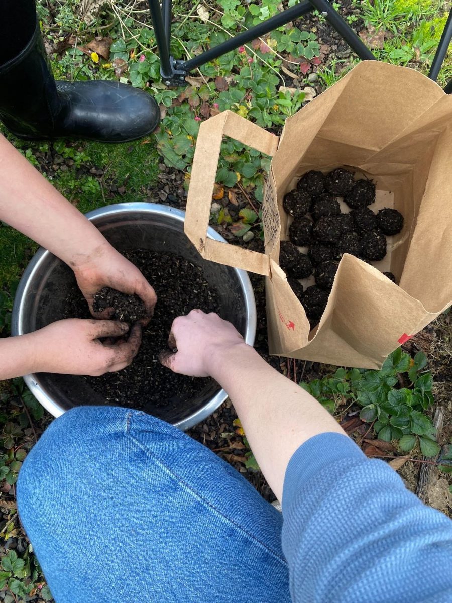 Two people crouch over a bowl of soil, seeds, and clay, rolling seed bombs and placing them in a paper bag. Seed bombing is a form of guerilla gardening, the practice of gardening in neglected places without explicit permission.