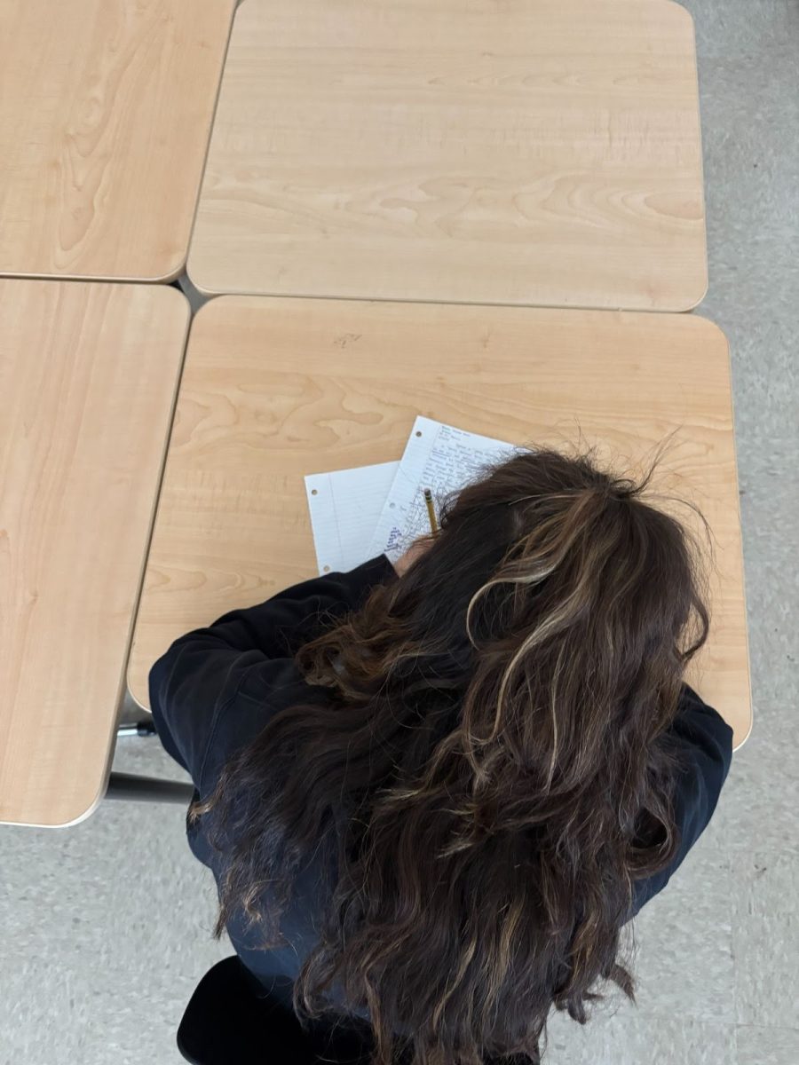 A student takes a test, sitting alone. Testing accommodations, including extended time on tests and quiet testing locations, are two of the most common accommodations for students to receive. Photo by Naomi Granek Brown.